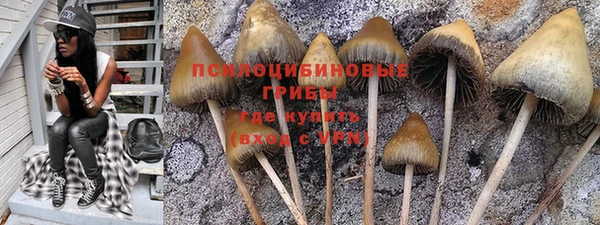 твердый Армянск