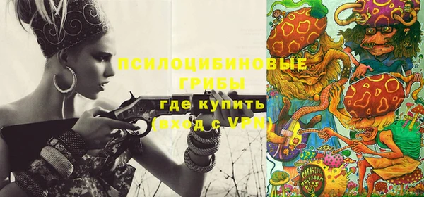 твердый Армянск