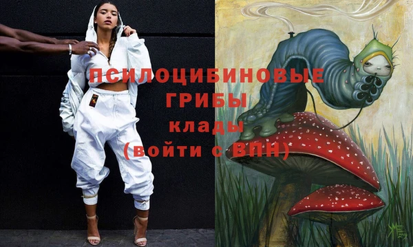 твердый Армянск