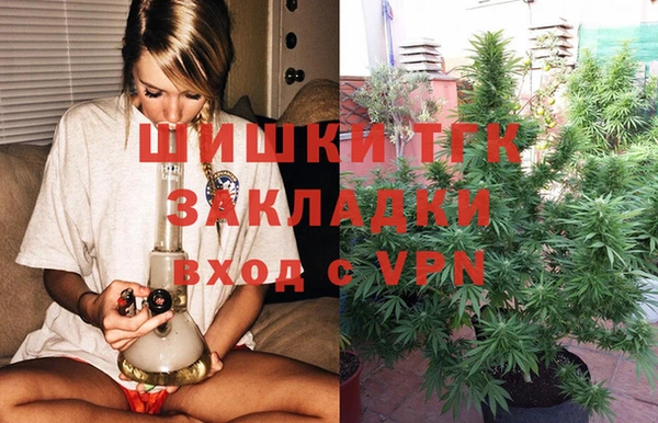 гашик Алзамай