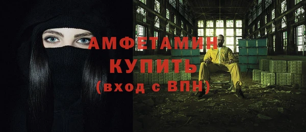 мдпв Елабуга