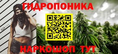 apvp Ачхой-Мартан