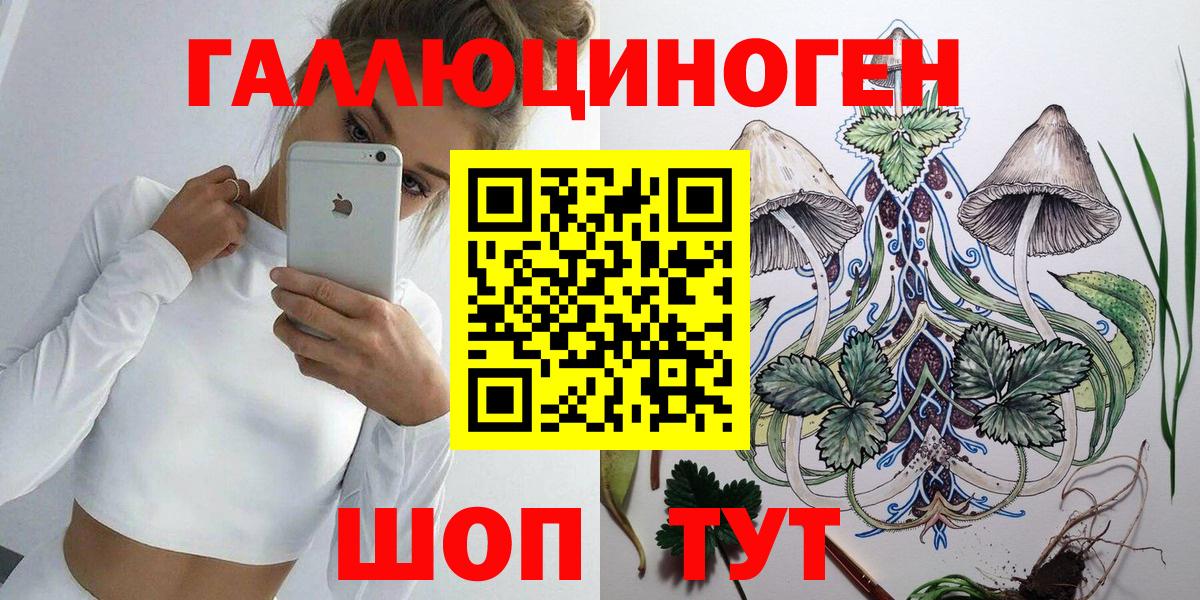 Псилоцибиновые грибы Psilocybe  Вход с VPN  Шуя 